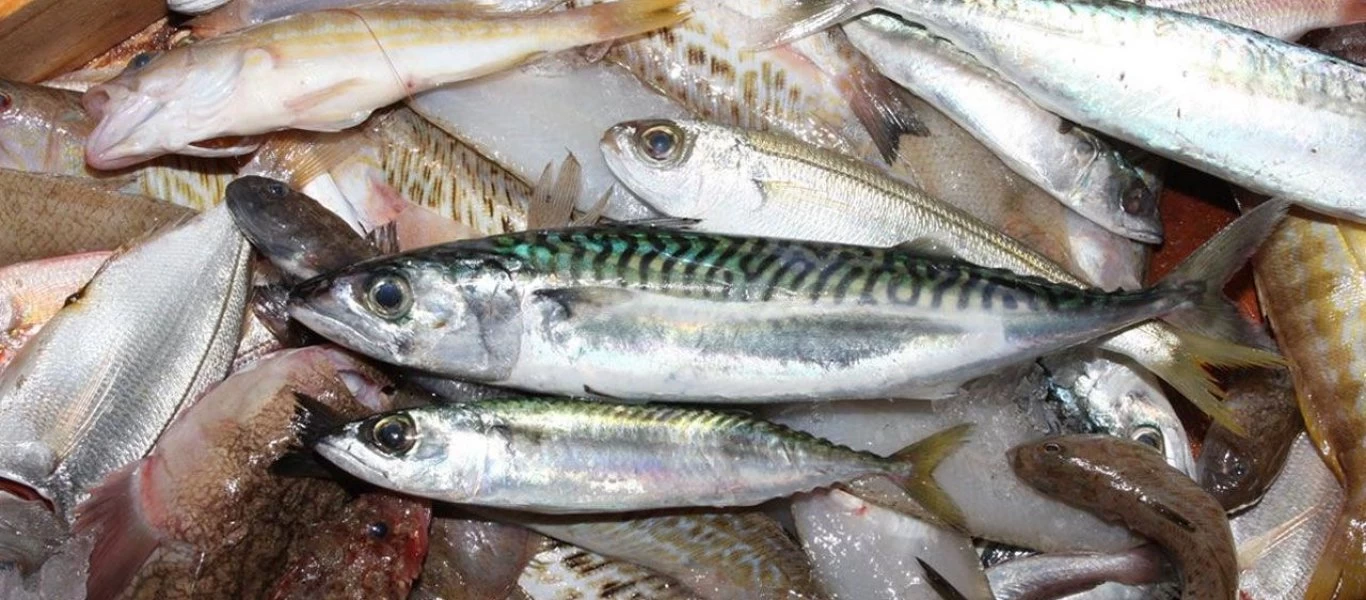 Τα 6+1 «μυστικά» για να δεις αν ένα ψάρι είναι φρέσκο